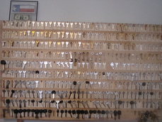 Keys